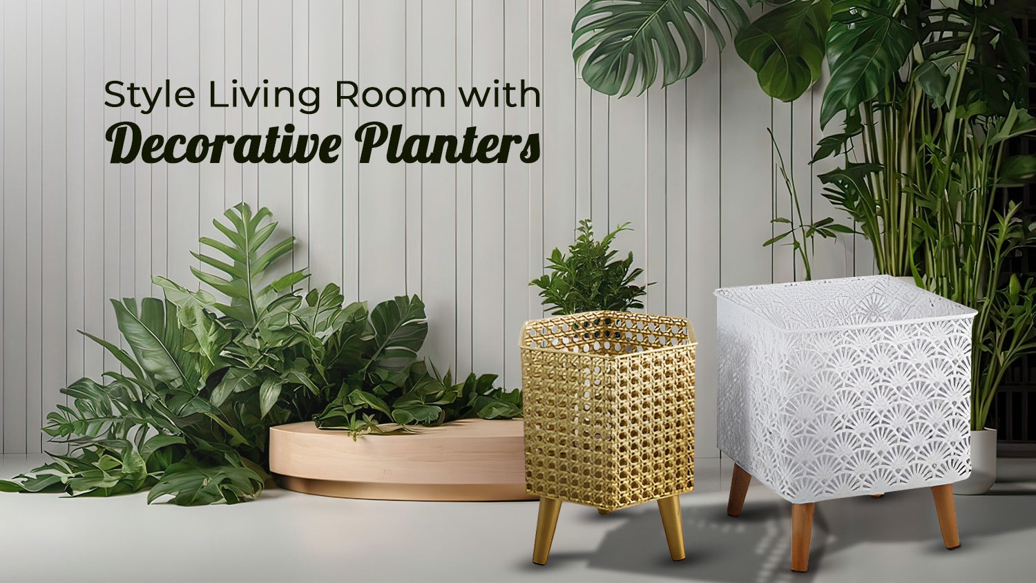 How to Style Living Room with Decorative Planters? - Aarvi Decor ...
