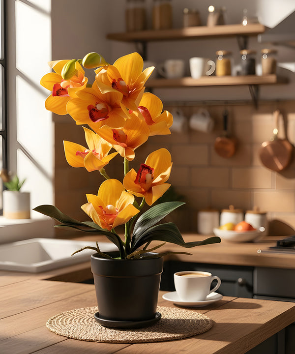 Cymbidium Orchid Yellow Flower Pot