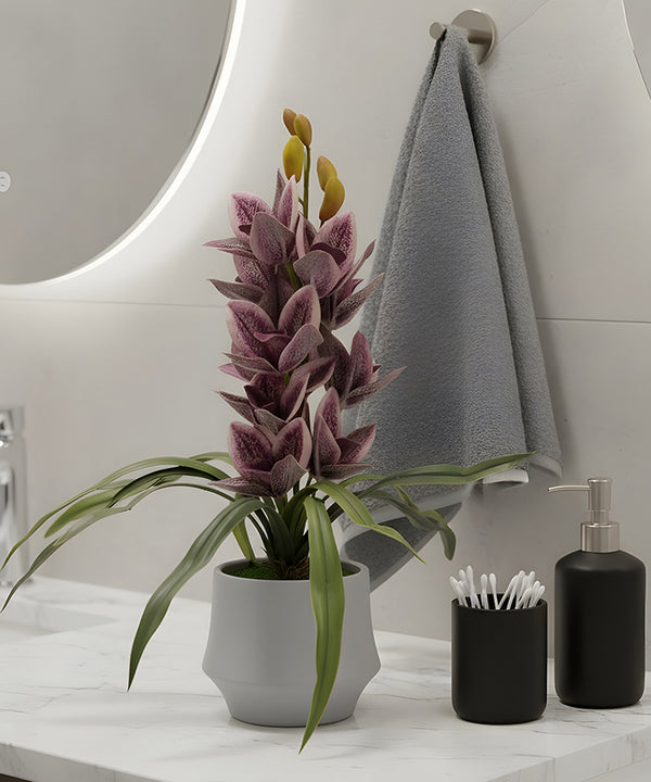 Jewel Orchid Purple Flower Pot