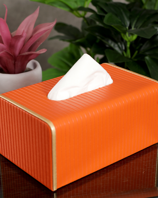 Faux luxe tissue box