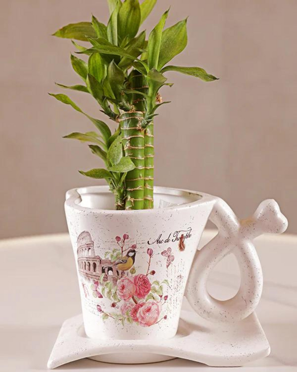 Teapot Trellis Vase