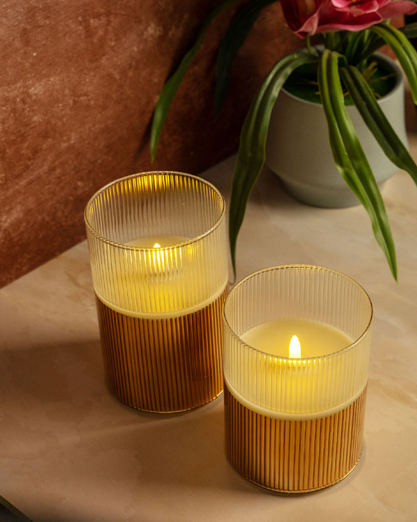 Birch LED Lights