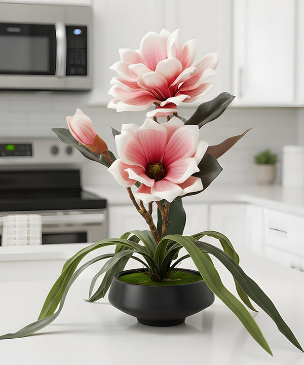 Magnolia Pink Flower Pot