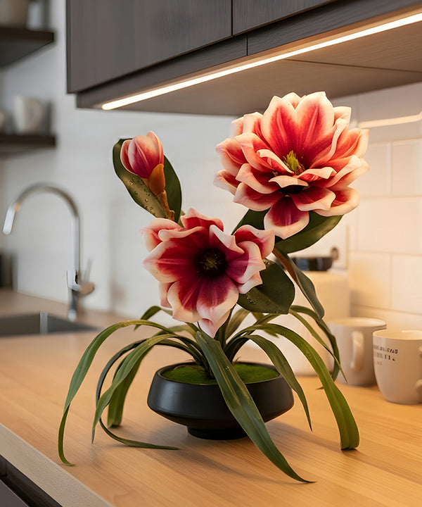 Magnolia Magenta Flower Pot