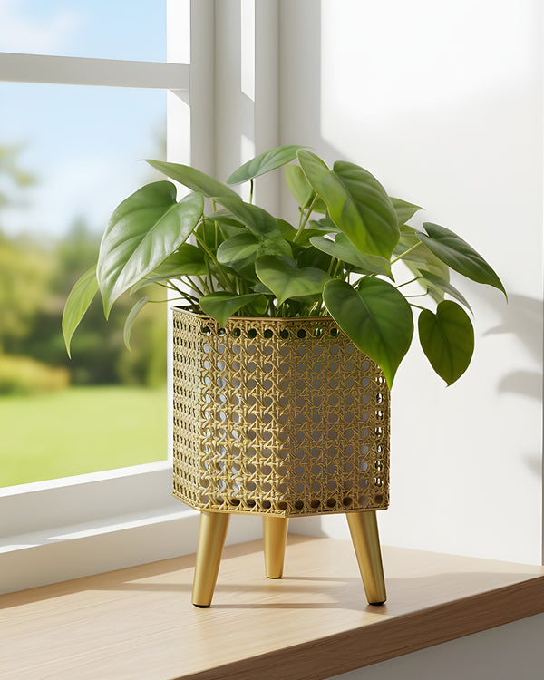 Luxe Gold Planter