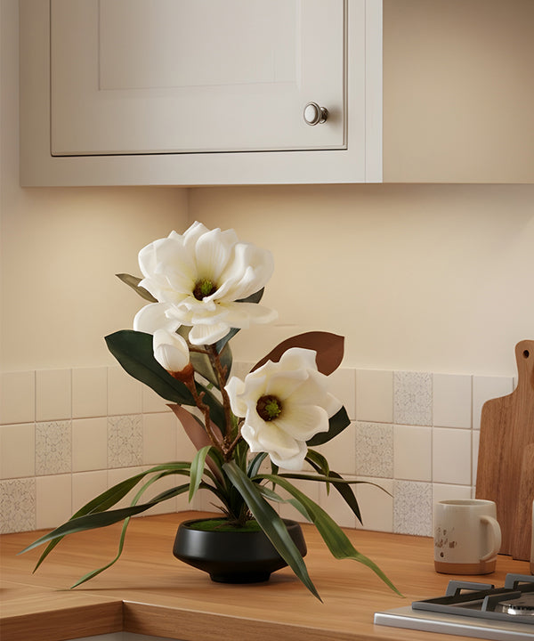 Magnolia White Flower Pot
