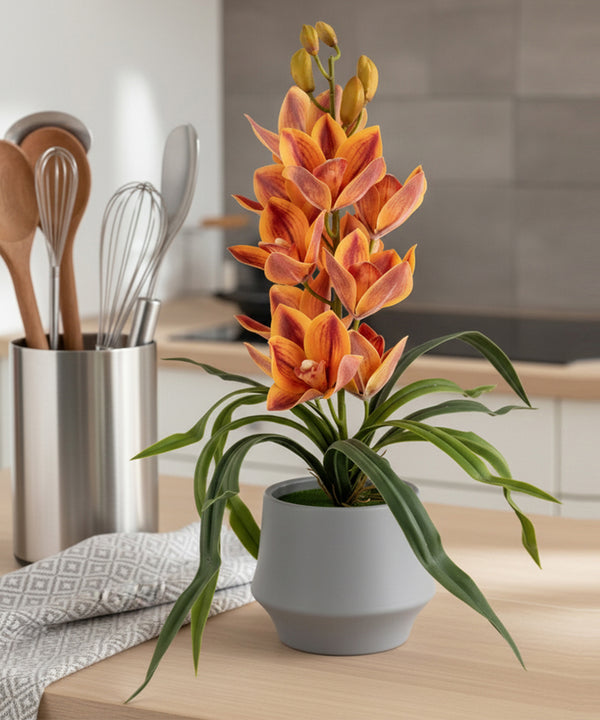 Jewel Orchid Orange Flower Pot
