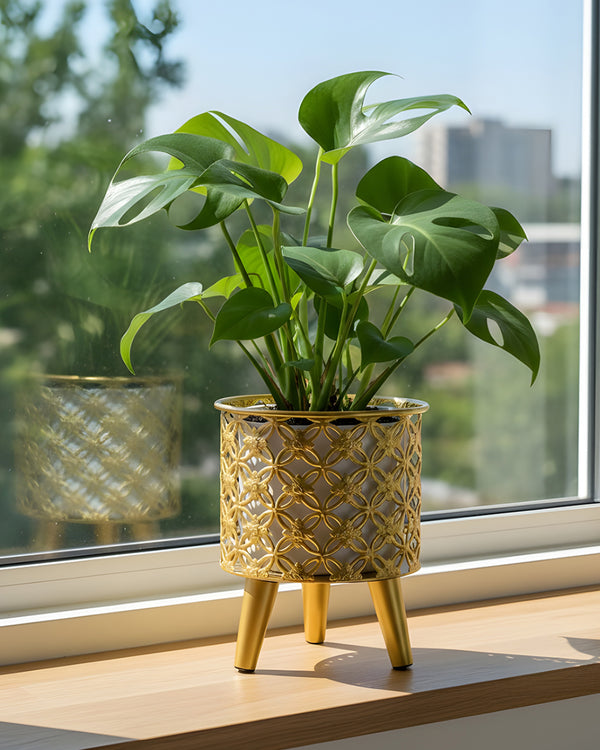 Golden Bloom Planter