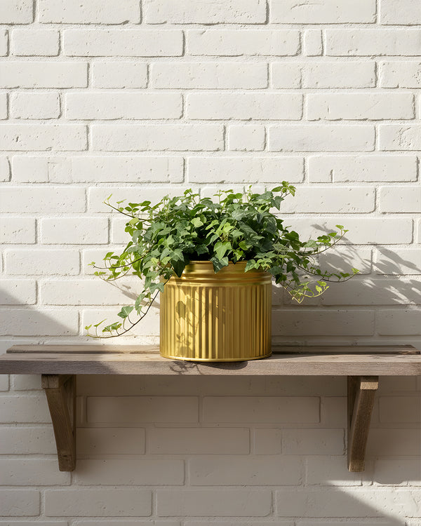 Radiant Stripes Gold Planter