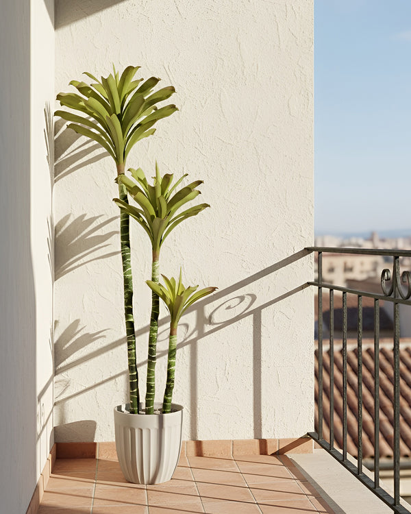 Bromeliad Stems Plant