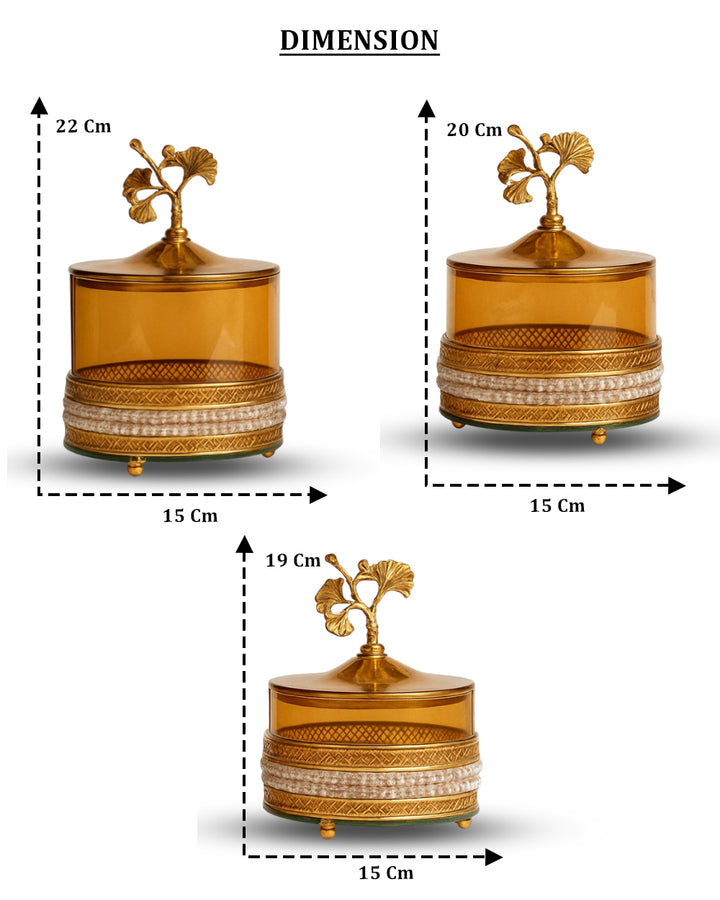 Ginkgo Elegance Trio Jar Set