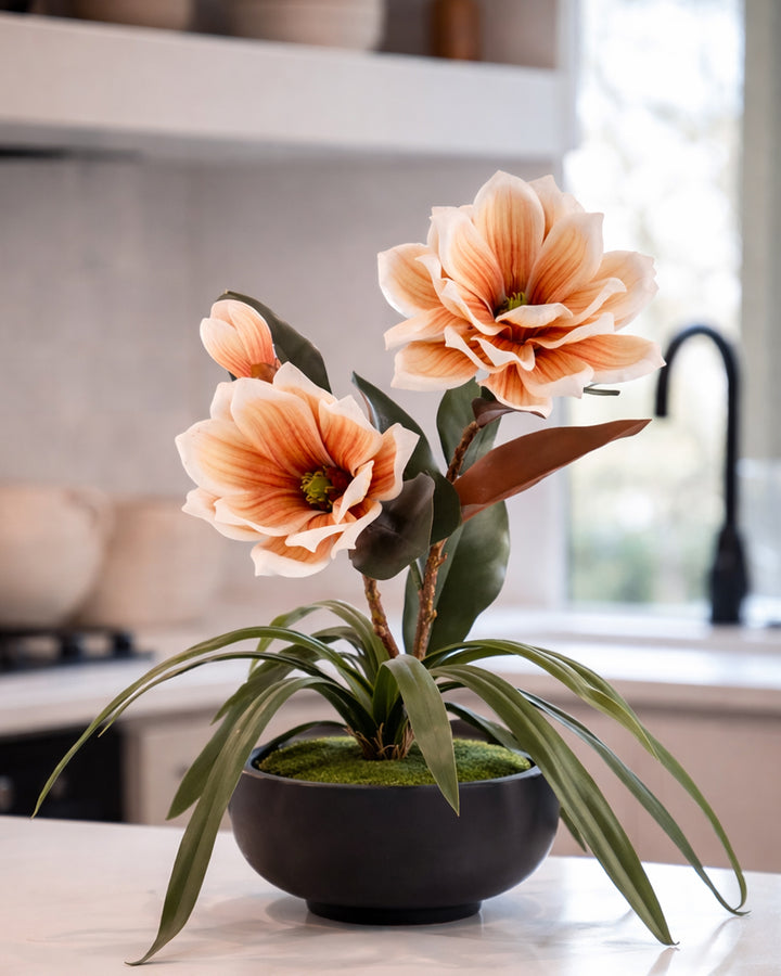 magnolia plant pot Magnolia Flower Pot – Aarvi Decor Studio