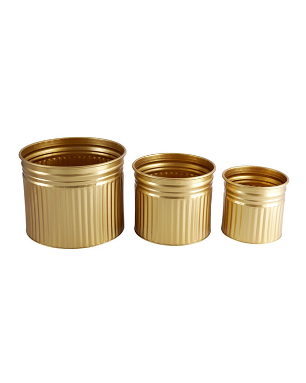 radiant stripes gold planter