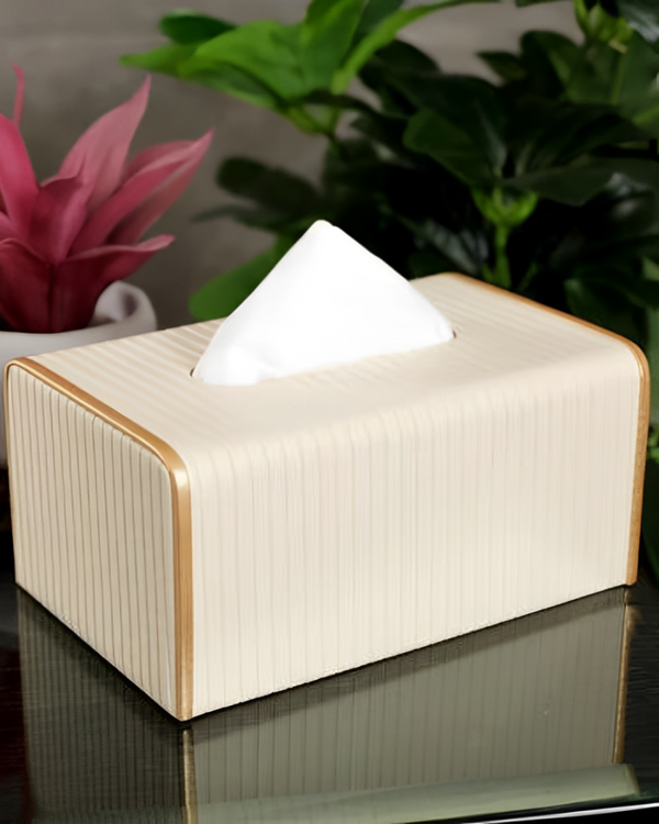 Faux luxe tissue box